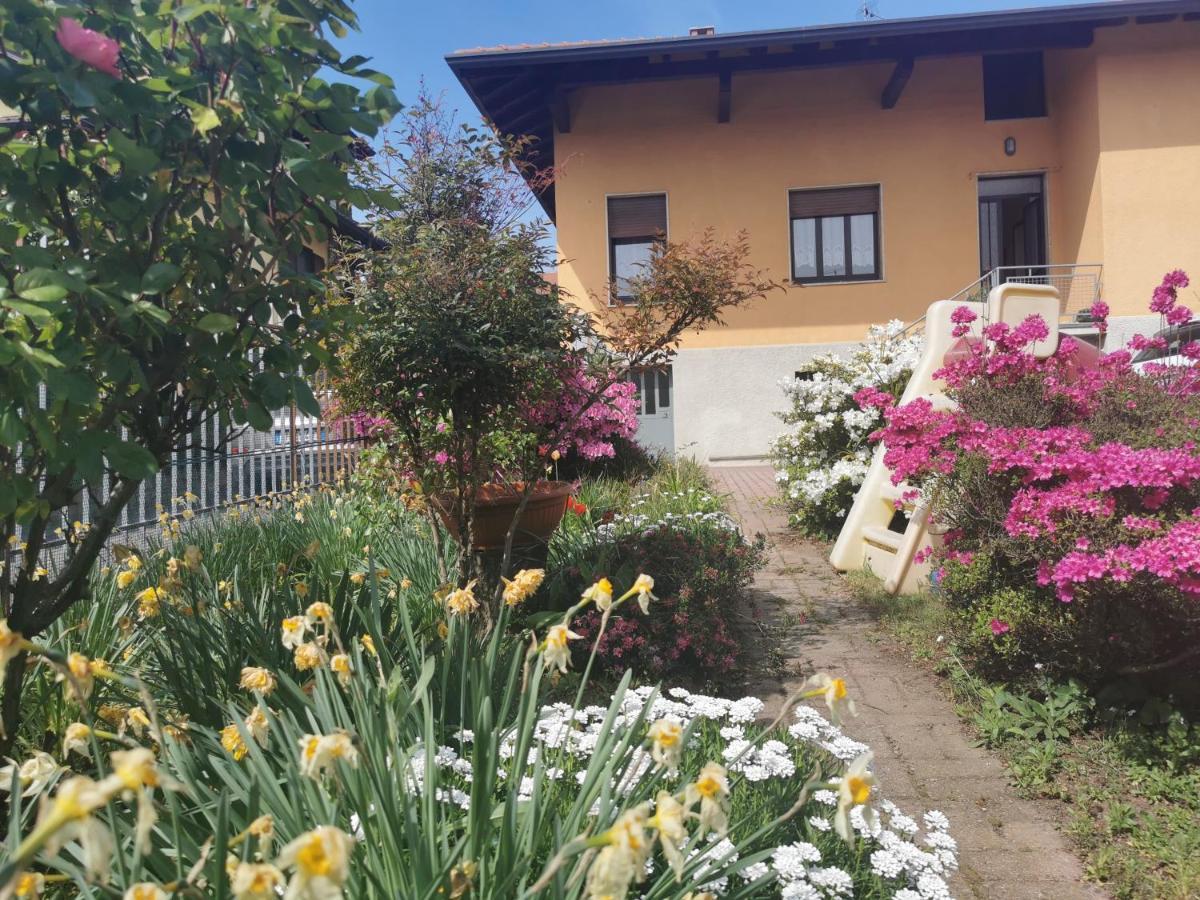 Villa Grandma'S Garden House Angera Exterior foto